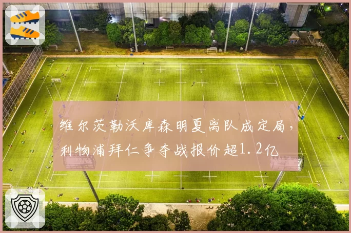维尔茨勒沃库森明夏离队成定局，利物浦拜仁争夺战报价超1.2亿