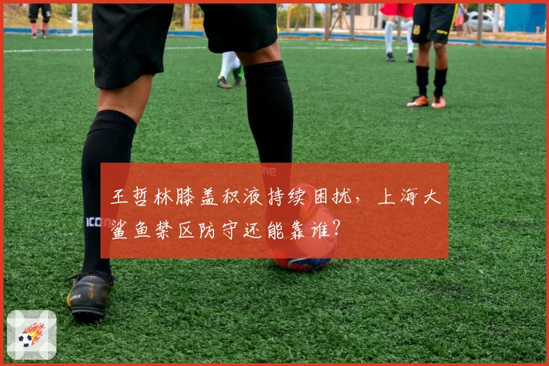 王哲林膝盖积液持续困扰,上海大鲨鱼禁区防守还能靠谁?