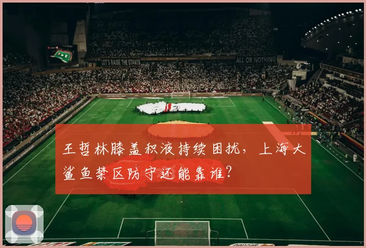 王哲林膝盖积液持续困扰,上海大鲨鱼禁区防守还能靠谁?