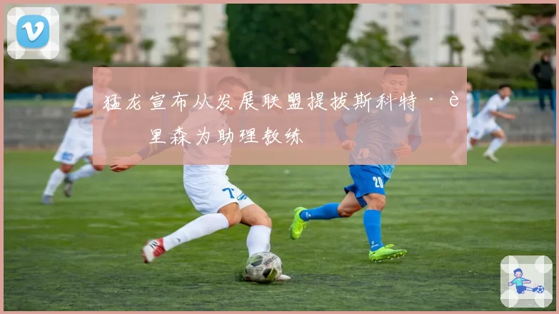 猛龙宣布从发展联盟提拔斯科特·莫里森为助理教练