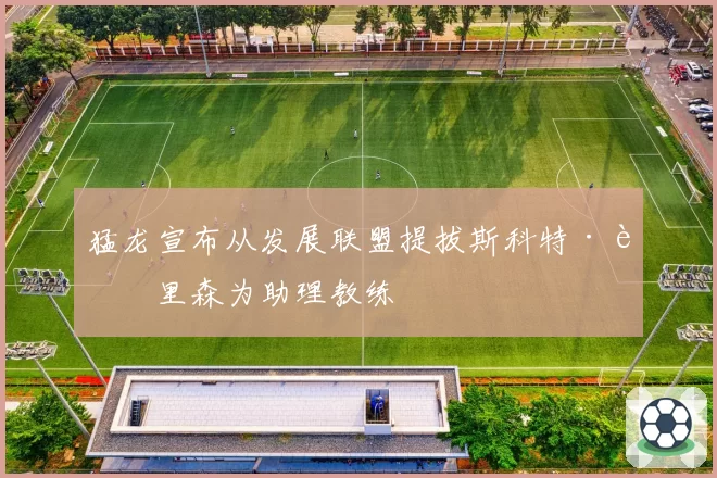 猛龙宣布从发展联盟提拔斯科特·莫里森为助理教练